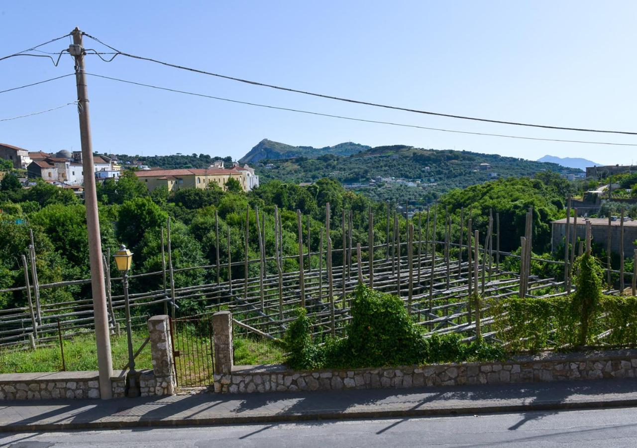La Casa Dei Nonni Apartment Massa Lubrense